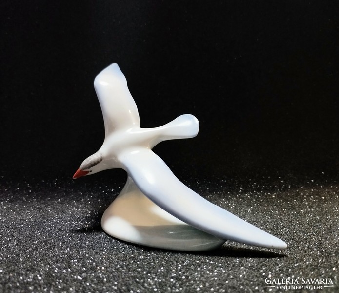 Drasche porcelain - seagull