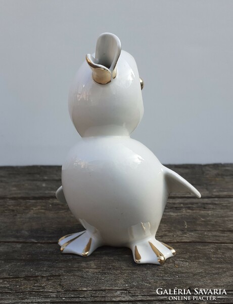 White and gold aquincum duck