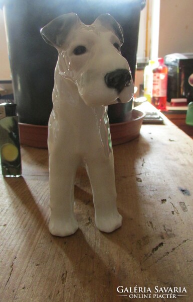 Gotha Német porcelán kutya