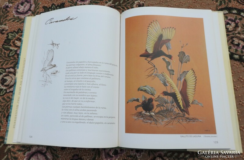 Spanish language book - birds