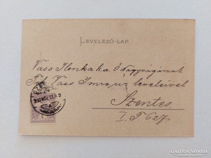 Régi képeslap 1900 levelezőlap tájkép borostyán