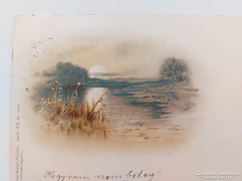 Old postcard 1899 postcard with reed sunrise