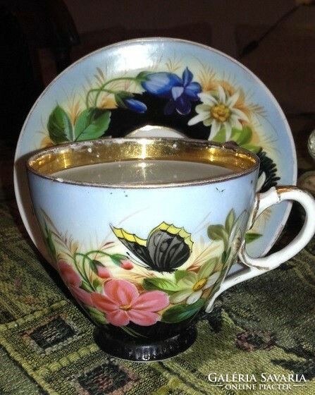 Bieder tea cup and saucer - rare antique snowy meadow butterfly - art&decoration