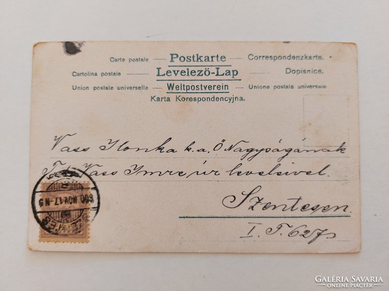 Régi képeslap 1900 levelezőlap tájkép kék virág