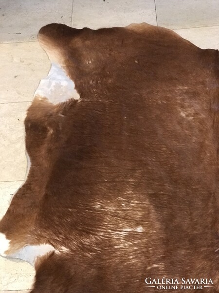 Cowhide, carpet 150x130cm