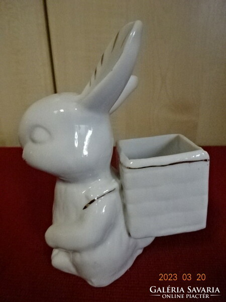 Chinese porcelain bunny with putton on the back. Jokai.