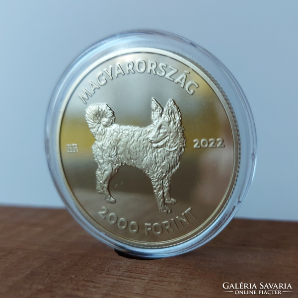 2022. évi - Mudi 2000 forint PP UNC