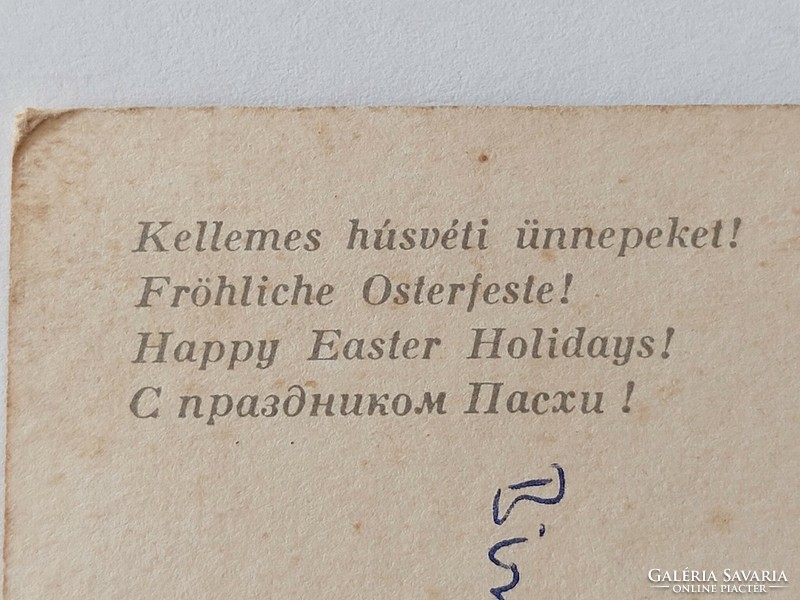 Retro húsvéti képeslap magyar barack pálinka fotó levelezőlap