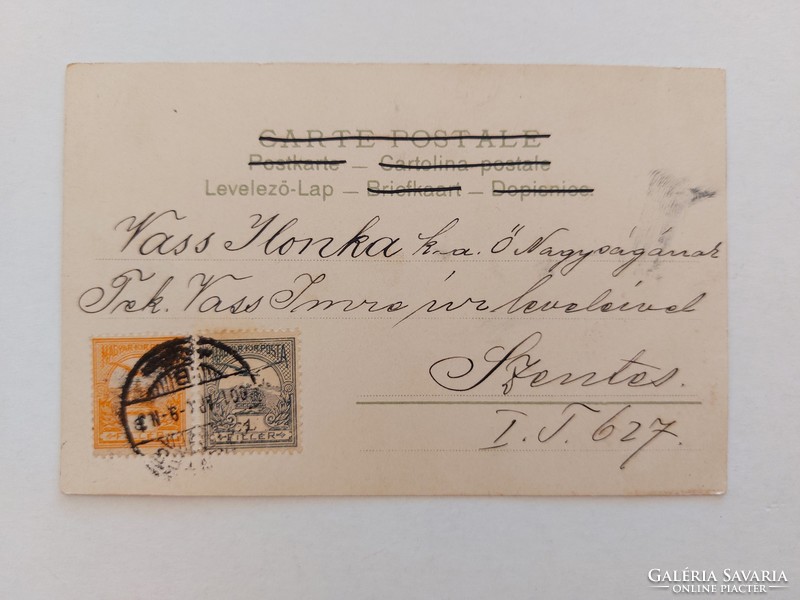 Régi képeslap 1901 levelezőlap nyílvessző szívek nefelejcs