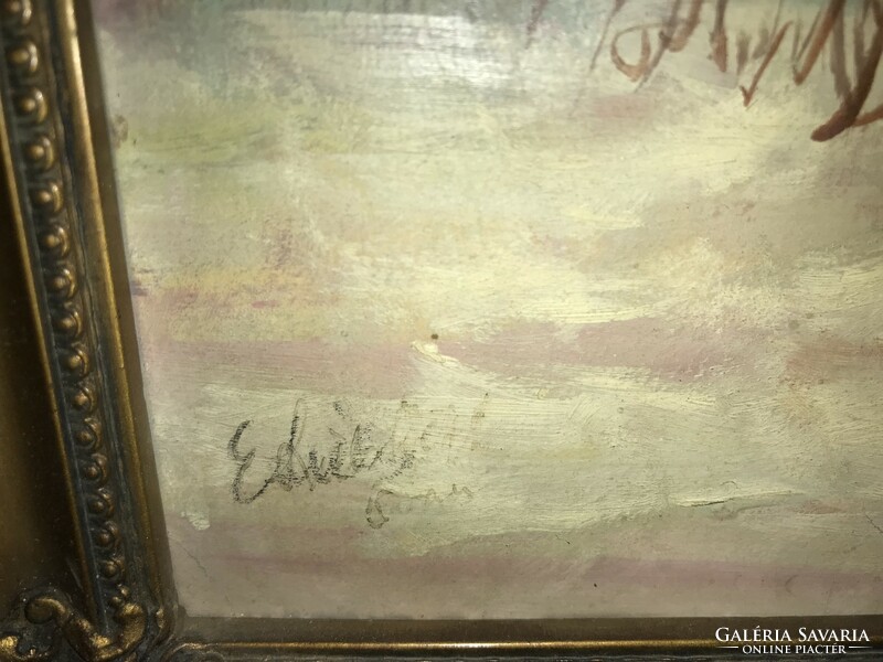 Landscape, Balaton storm oil, paper signed illegible edvi? Signo