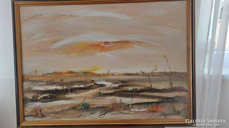 (K) beautiful signed landscape painting, with a mere 76x57 cm frame