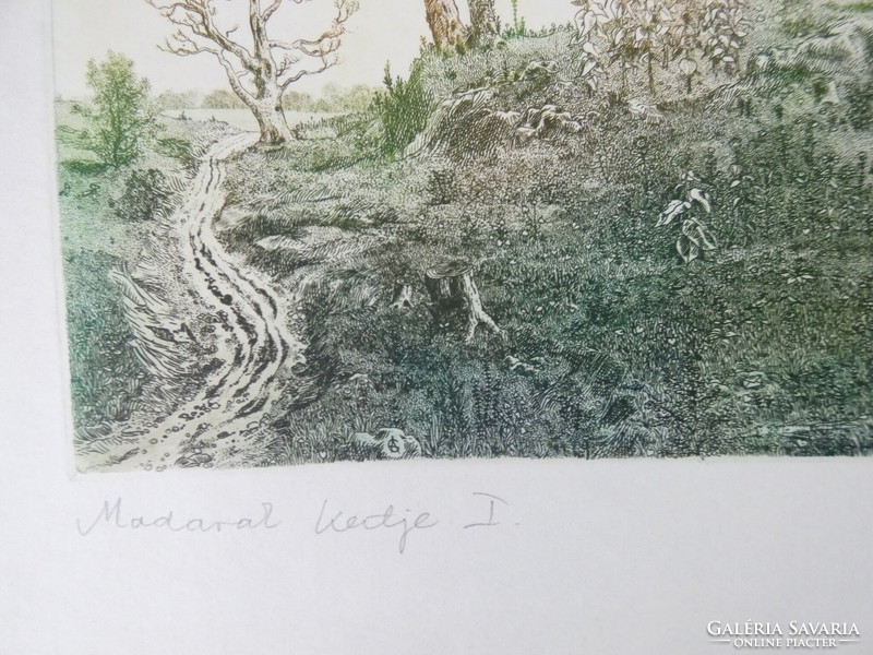 Gross arnold: garden of birds i. - Color etching/paper, 29 cm x 40 cm, ref.: Gross arnold original!!!
