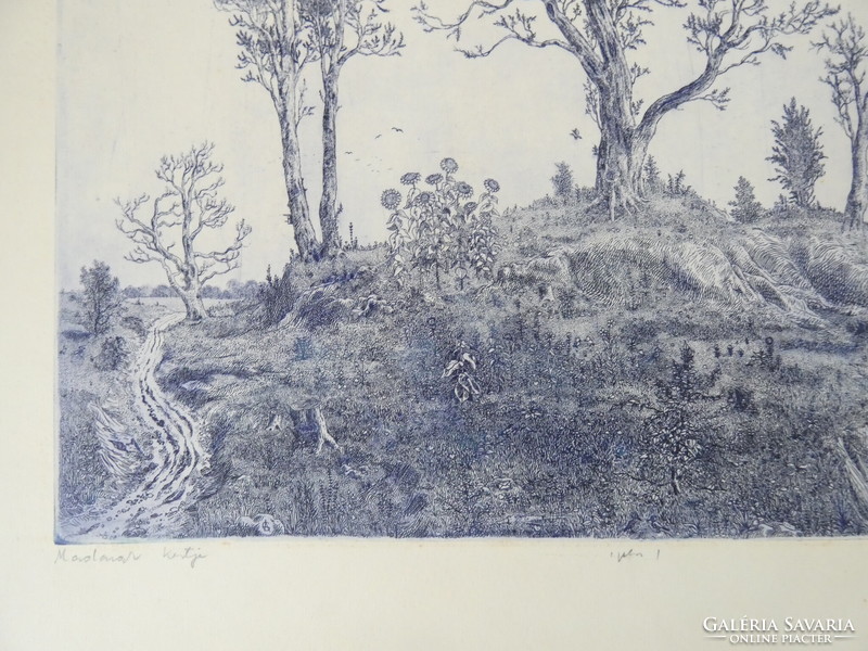 Gross arnold: garden of birds i. - Monochrome etching/paper, 29 cm x 40 cm, signed: Gross arnold original!!!