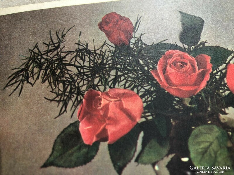 Antik, régi virágos képeslap