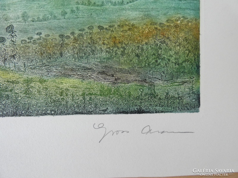 Gross arnold: flowers and birds - etching/paper, 29.5 cm x 40 cm, ref.: Gross arnold original!!!