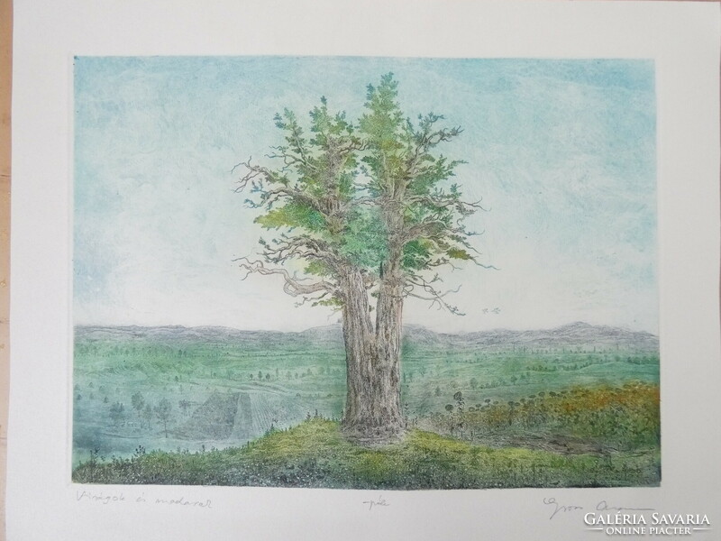 Gross arnold: flowers and birds - etching/paper, 29.5 cm x 40 cm, ref.: Gross arnold original!!!
