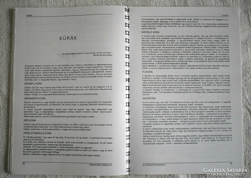 A gyógyító konyha II. kiskertek , erdők , mezők kincsei Temesvári Gabriella 2000 szakács könyv