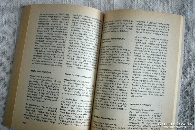 One plate of dishes in Tolna Kálmán 1986 cook book