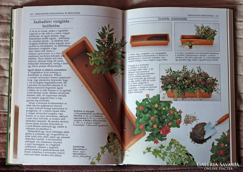 Növény hobbi könyv kertészkedés szobanövény dísznövény John Brokes