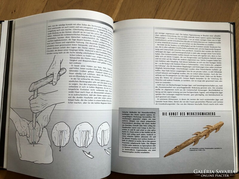 Spektrum - die anfänge der menschheit - (The Beginnings of Mankind) is a book in German