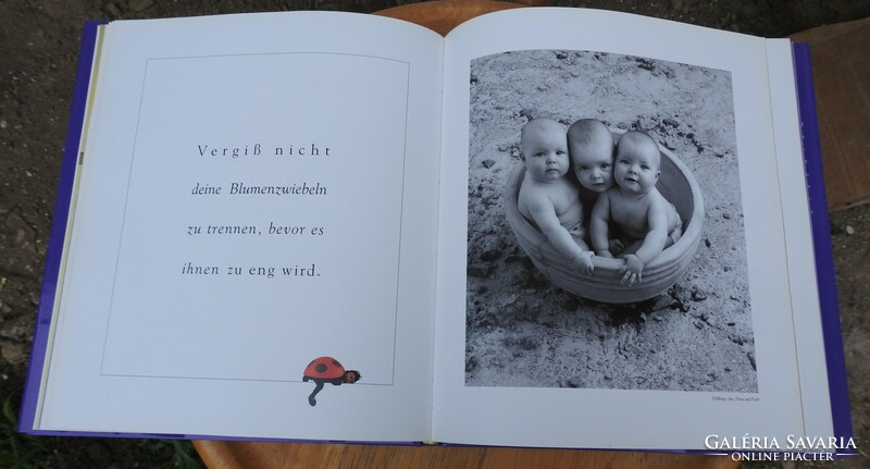 Down in the Garden Hardcover -  by Anne Geddes