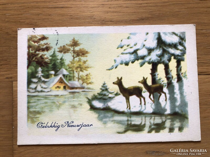 Antique, old postcard