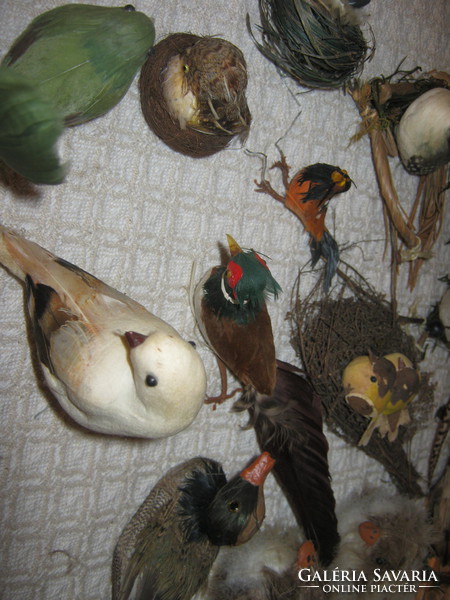 Decorative bird collection