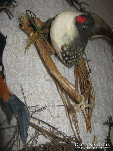 Decorative bird collection