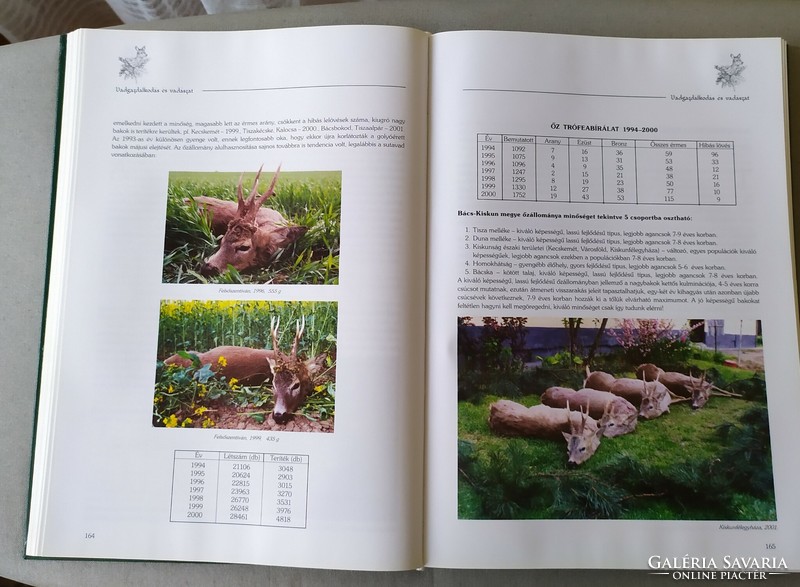Millennium hunting almanac, Bács-Kiskun county 2001 for sale!