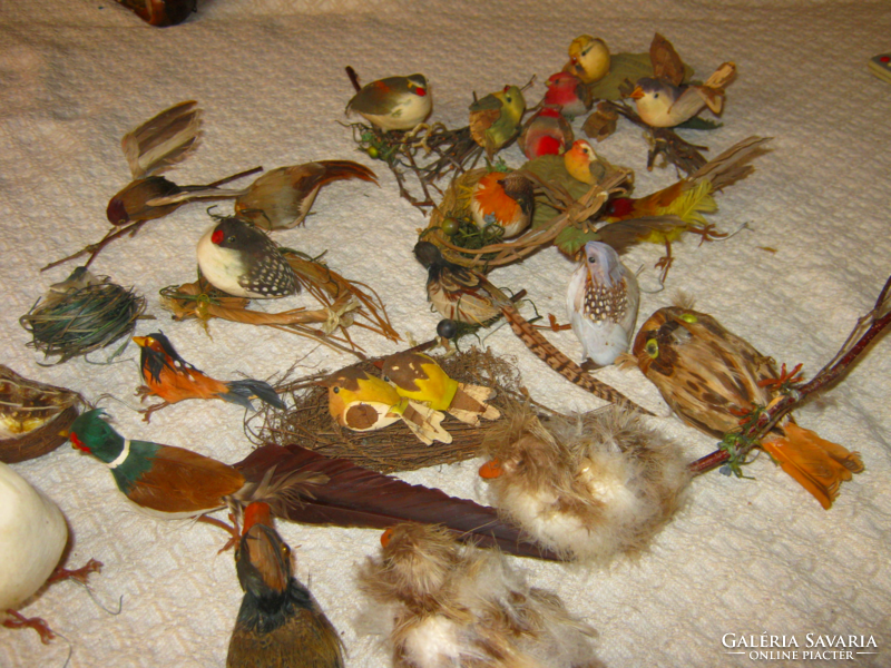 Decorative bird collection