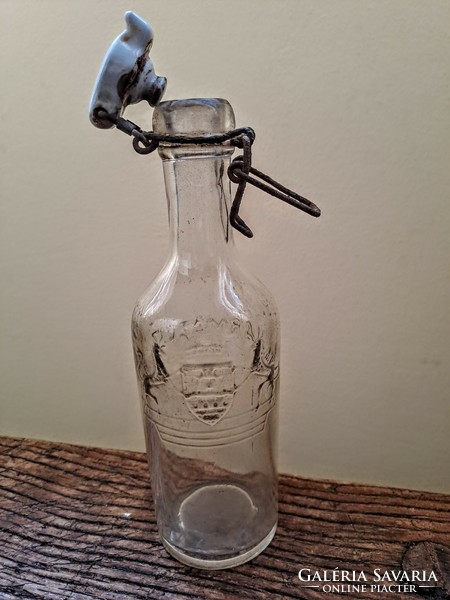 Dew water bottle with buckle