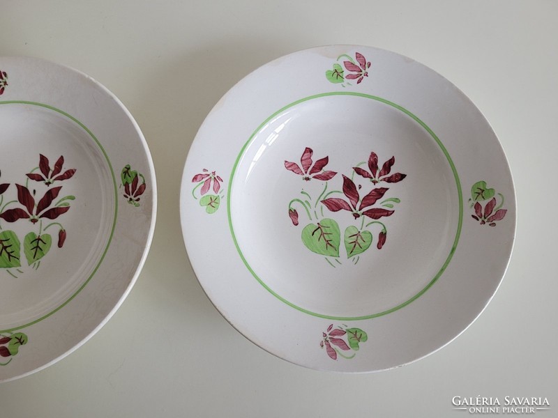 Old kp granite floral plate with cyclamen pattern 2 pcs