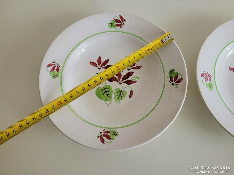 Régi KP Gránit virágos tányér ciklámen mintás 2 db