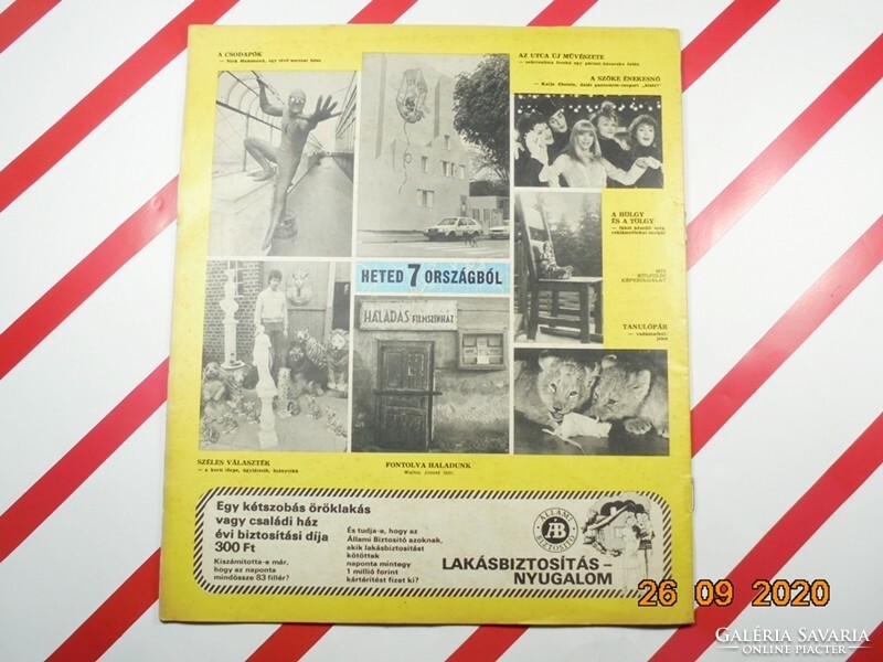 Old retro newspaper - women's magazine - June 28, 1980 - Birthday present