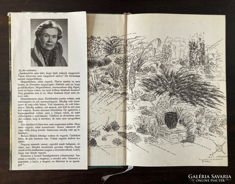 'B. Ilona Kéry: My garden with peppery Miklós drawings, 3rd Edition, 1979