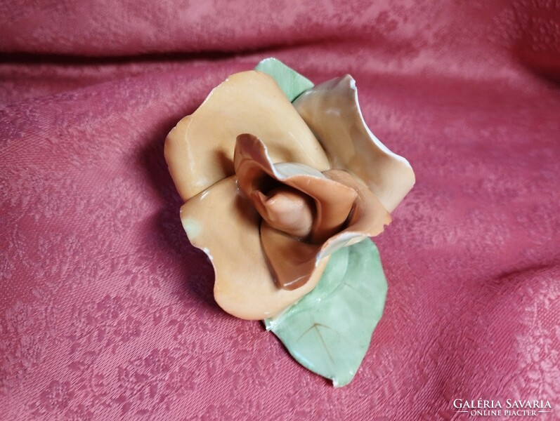 Aquincum hand shaped rose