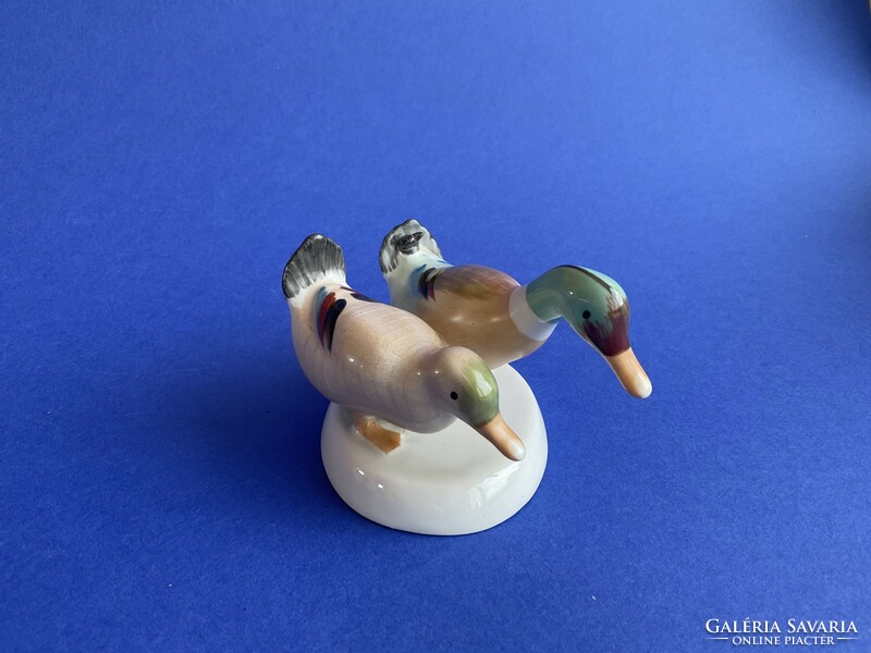 Auqincum display case porcelain duck wild ducks