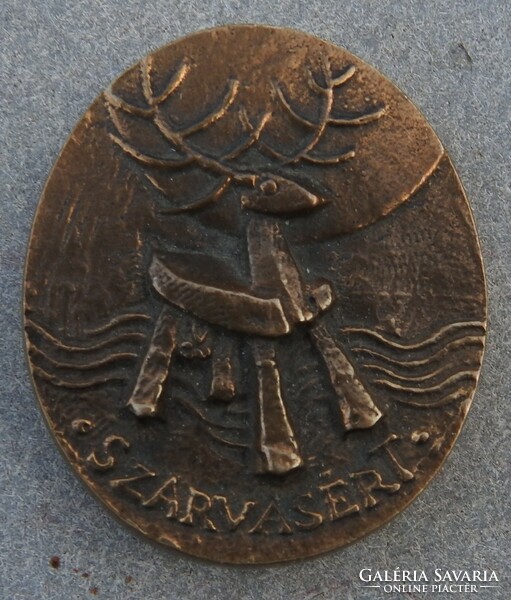 Szarvasért Szarvas város polgármesterétől bronz emlékérem