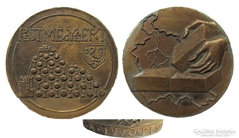 Róbert Csíkszentmihályi: Honorary Medal for Pest County /1970/