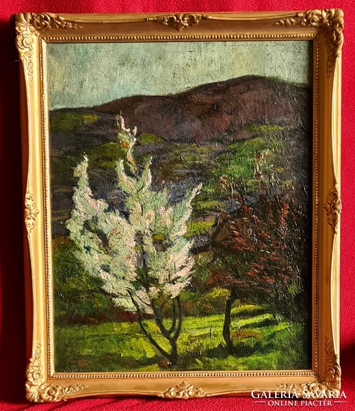 Gulyás Sándor (1889 - 1974) : Virágzó szilvafa 1927