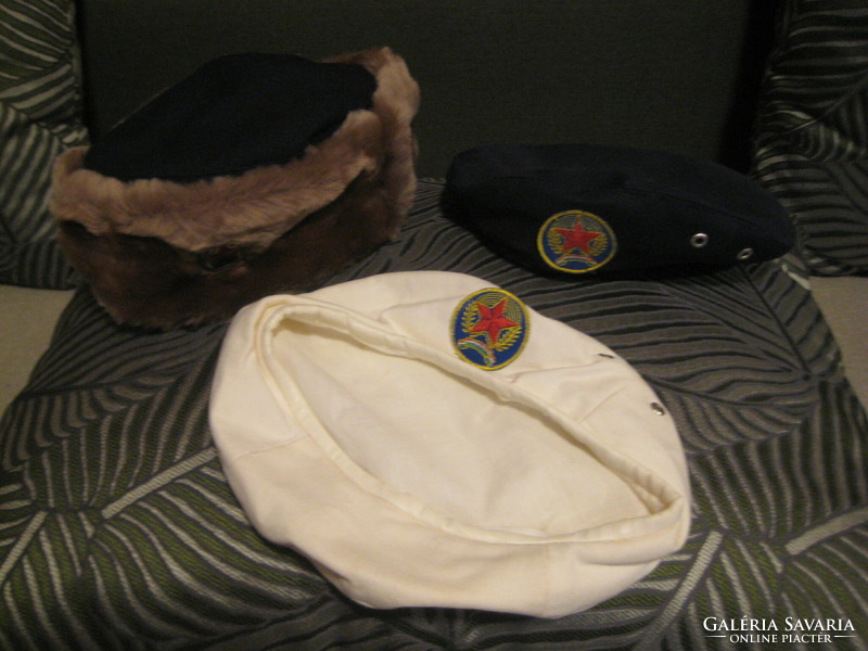Bm. Police caps, winter-summer, size 55