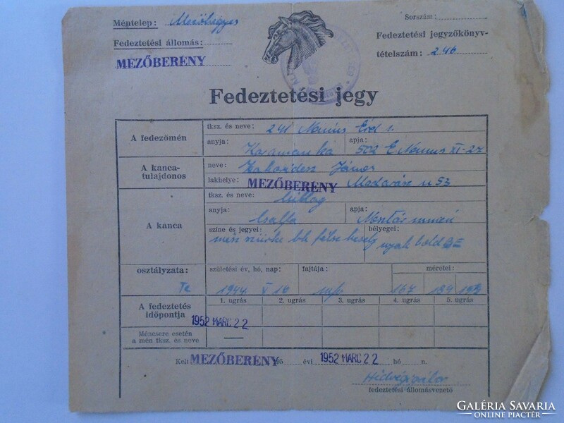 ZA431.5  Fedeztetési jegy -Mezőberény - Csikózási igazolvány  1953 - Méntelep Mezőhegyes