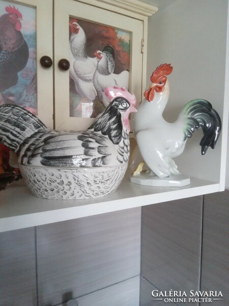 Herend rooster!