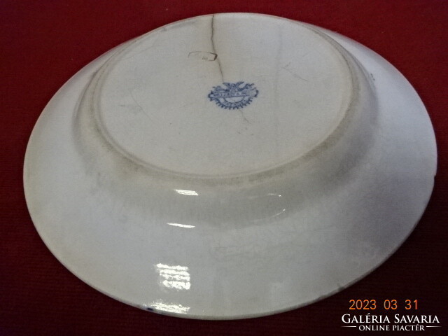 Willeroy & Boch German porcelain, antique, flat plate with onion pattern. Jokai.