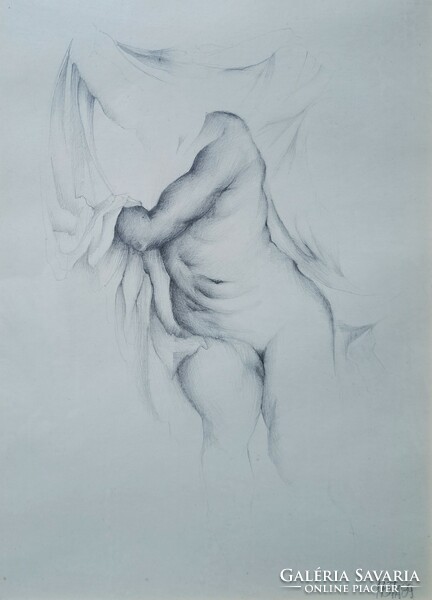 Female nude torso - graphite drawing in a nice frame - marked 