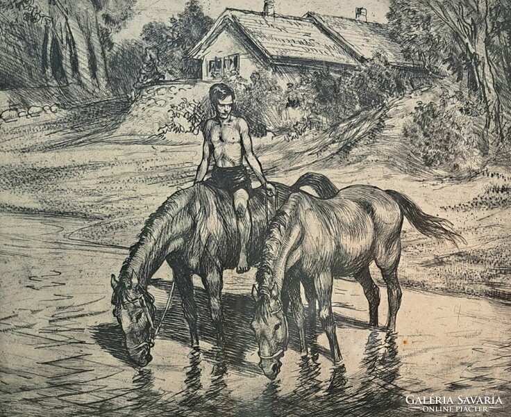 István Biai föglein: watering (etching in a nice frame) horses, animals, peasant life