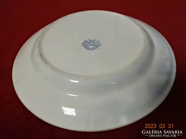 Willeroy & Boch German porcelain, antique, flat plate with onion pattern. Jokai.