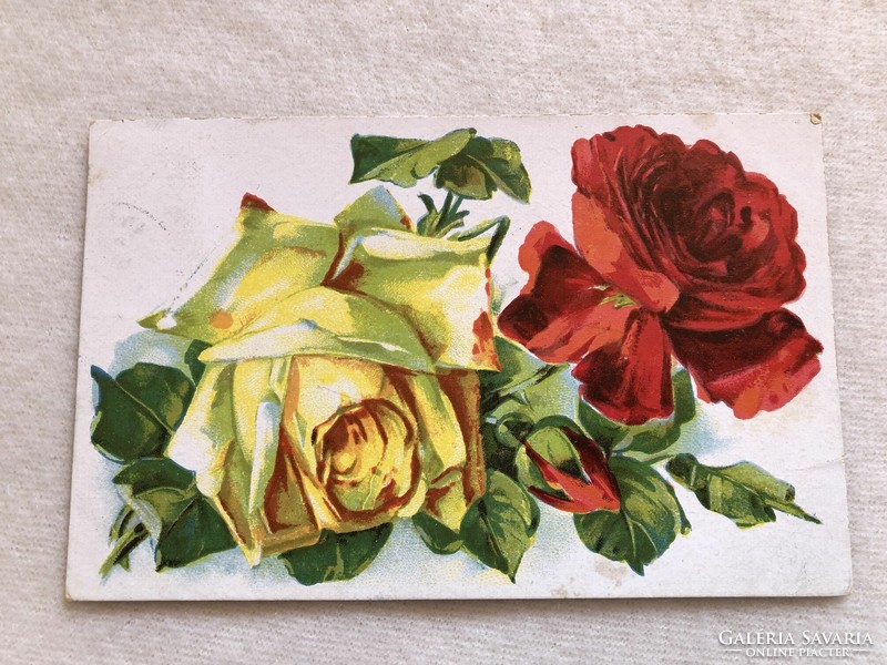 Antik Rózsa virágos litho képeslap - 1924