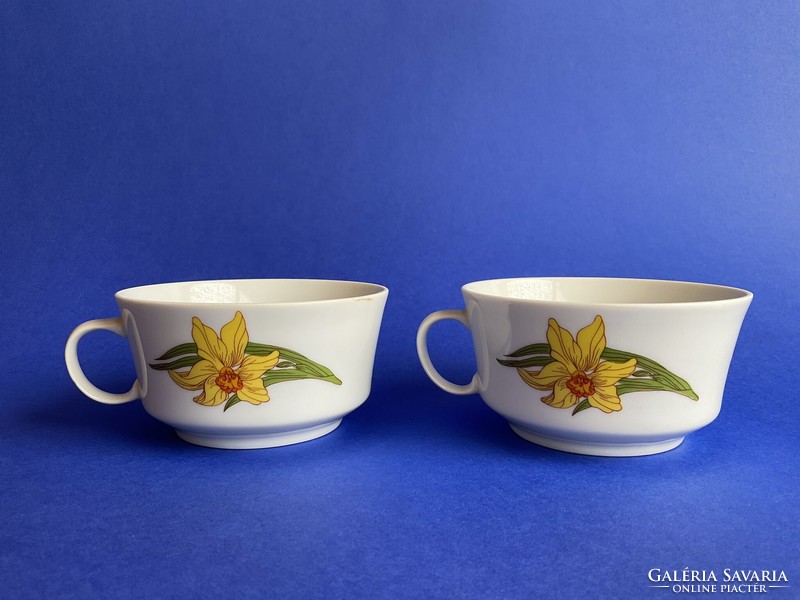 Alföldi 2 display daffodil teacups