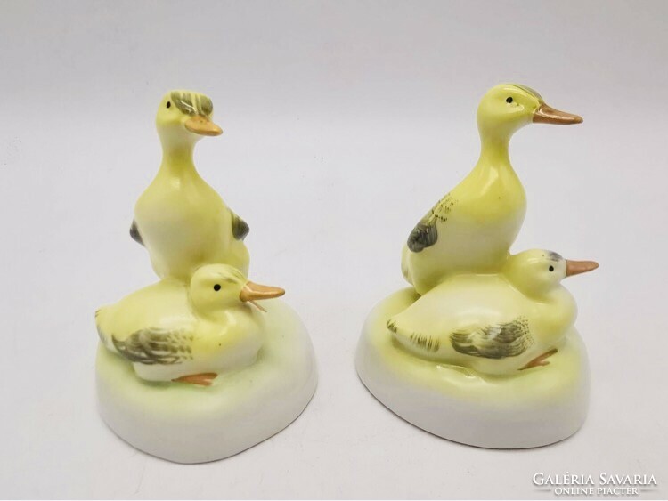 Aquincum porcelain ducks